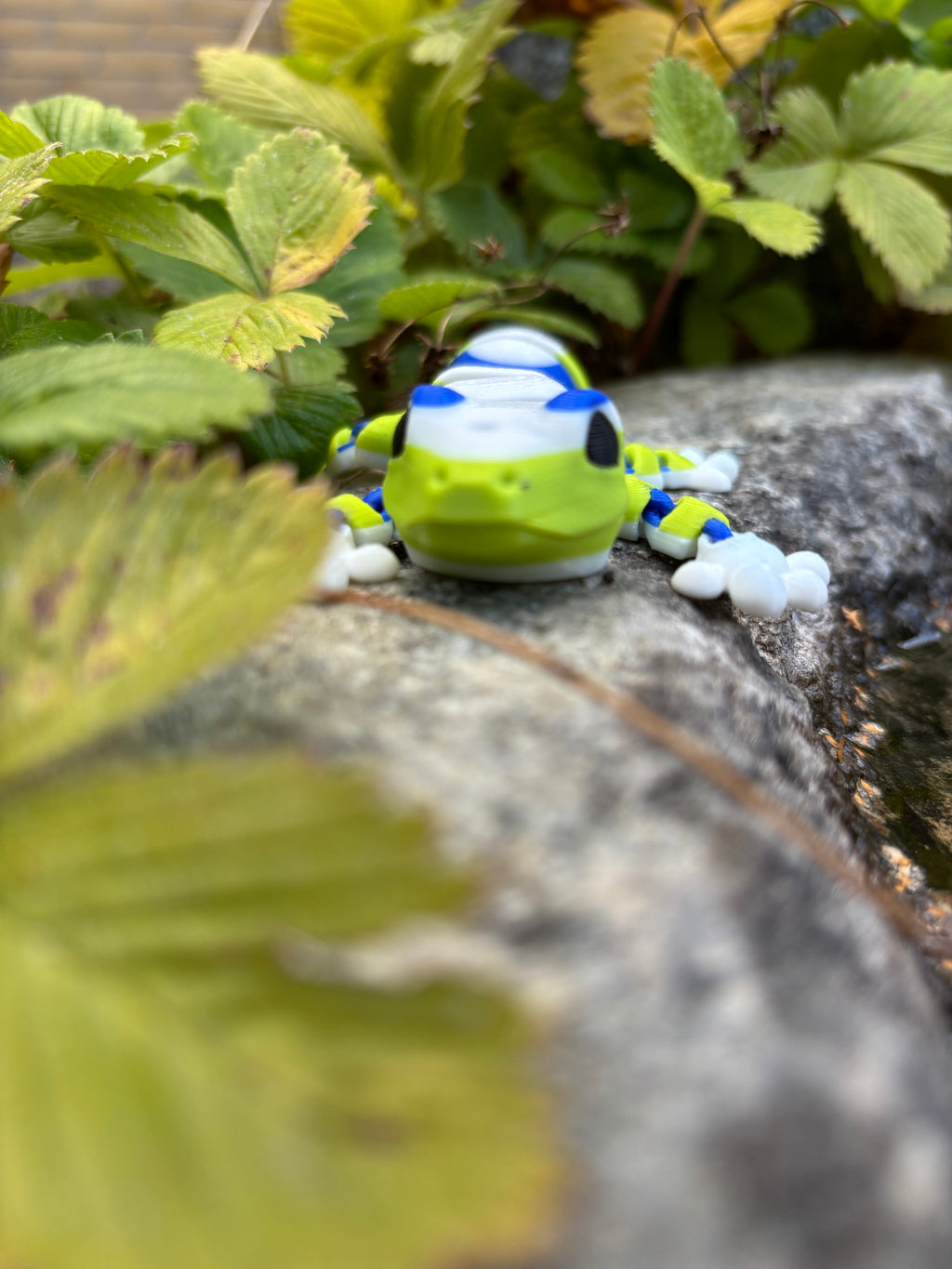 Zippy, the Stripe-Tailed Wonder Gecko of Whispering Jungle