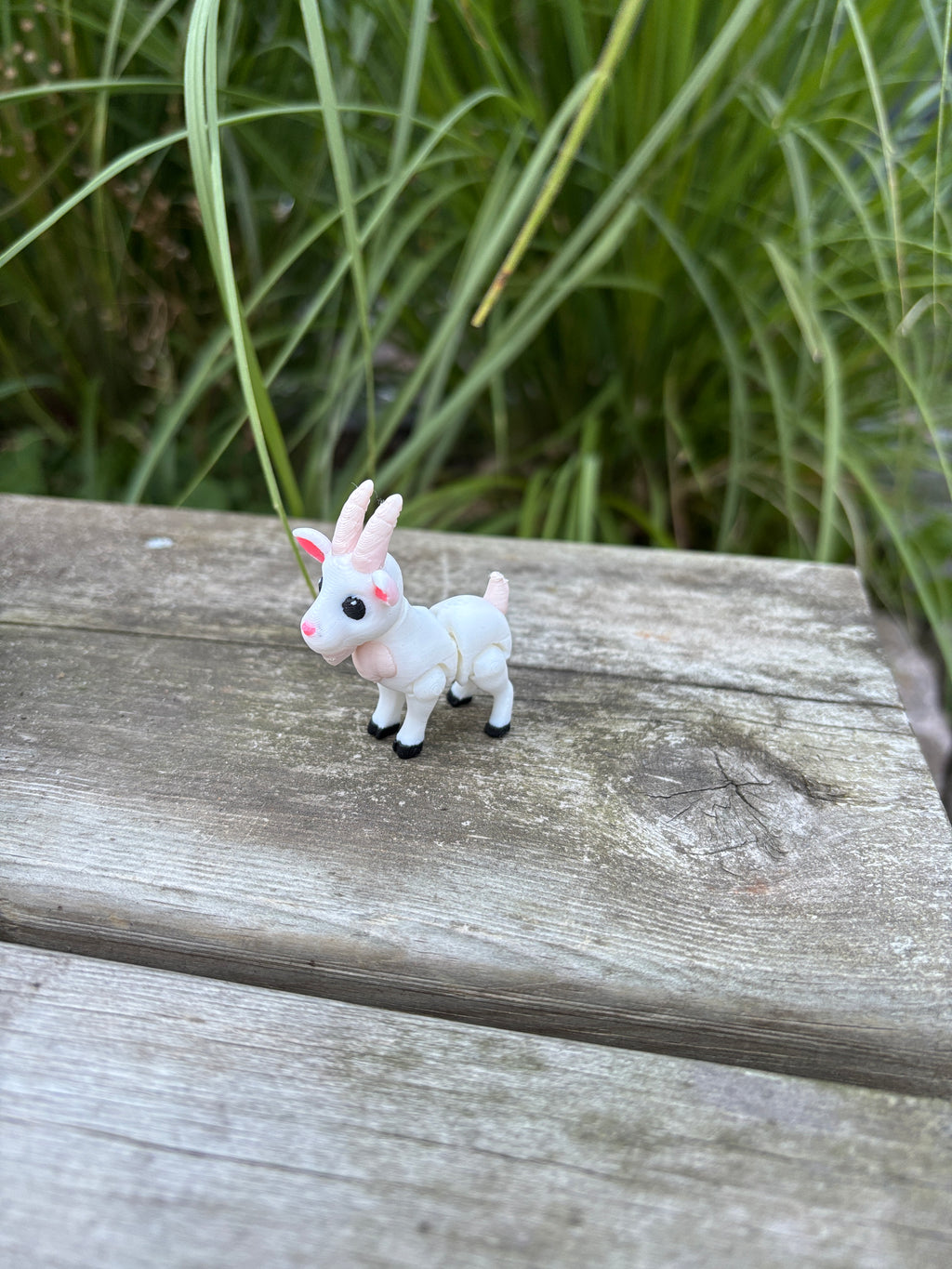 Gideon, the Giggling Mountain Kid of Meadowbrook