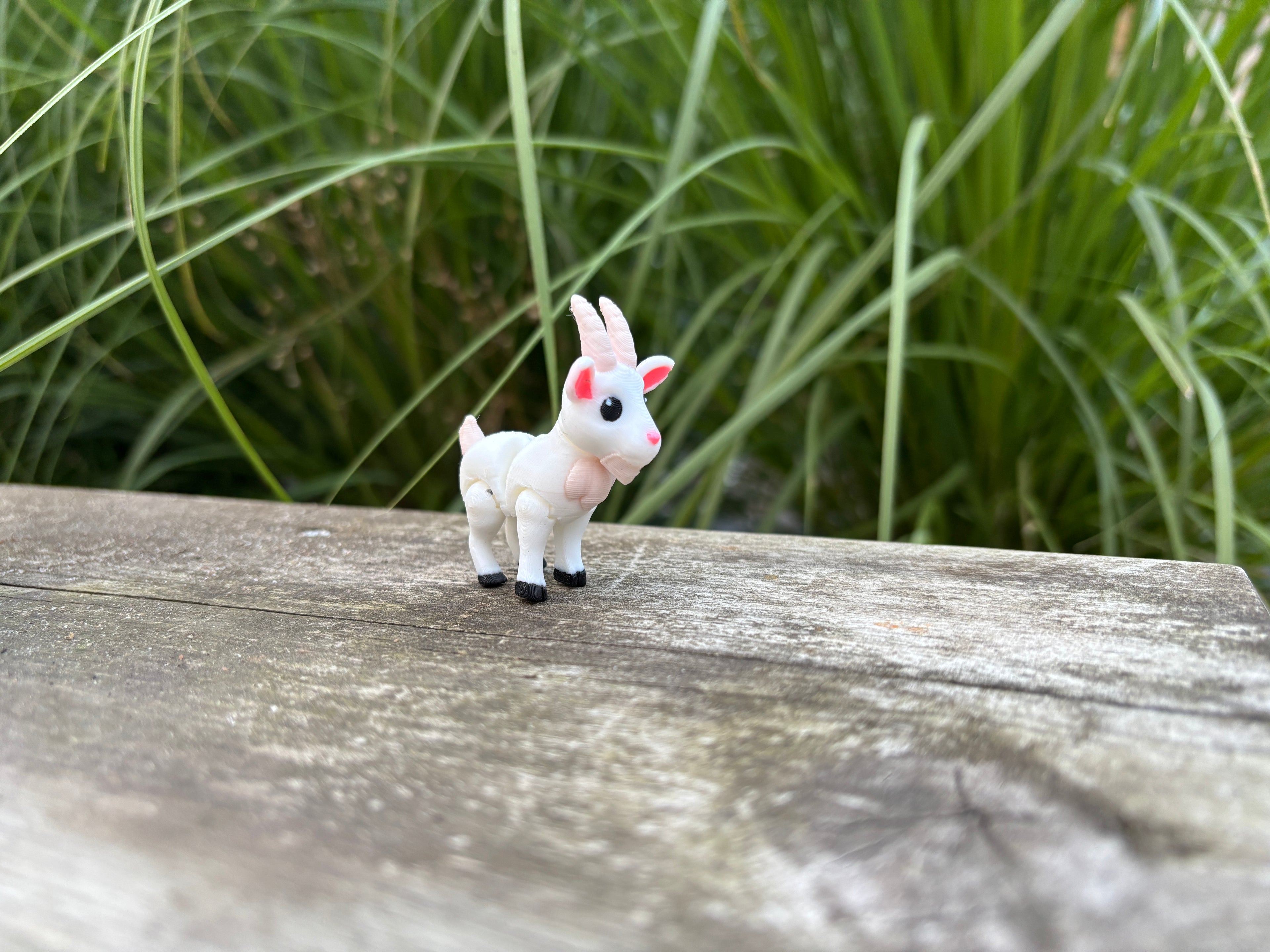 Gideon, the Giggling Mountain Kid of Meadowbrook