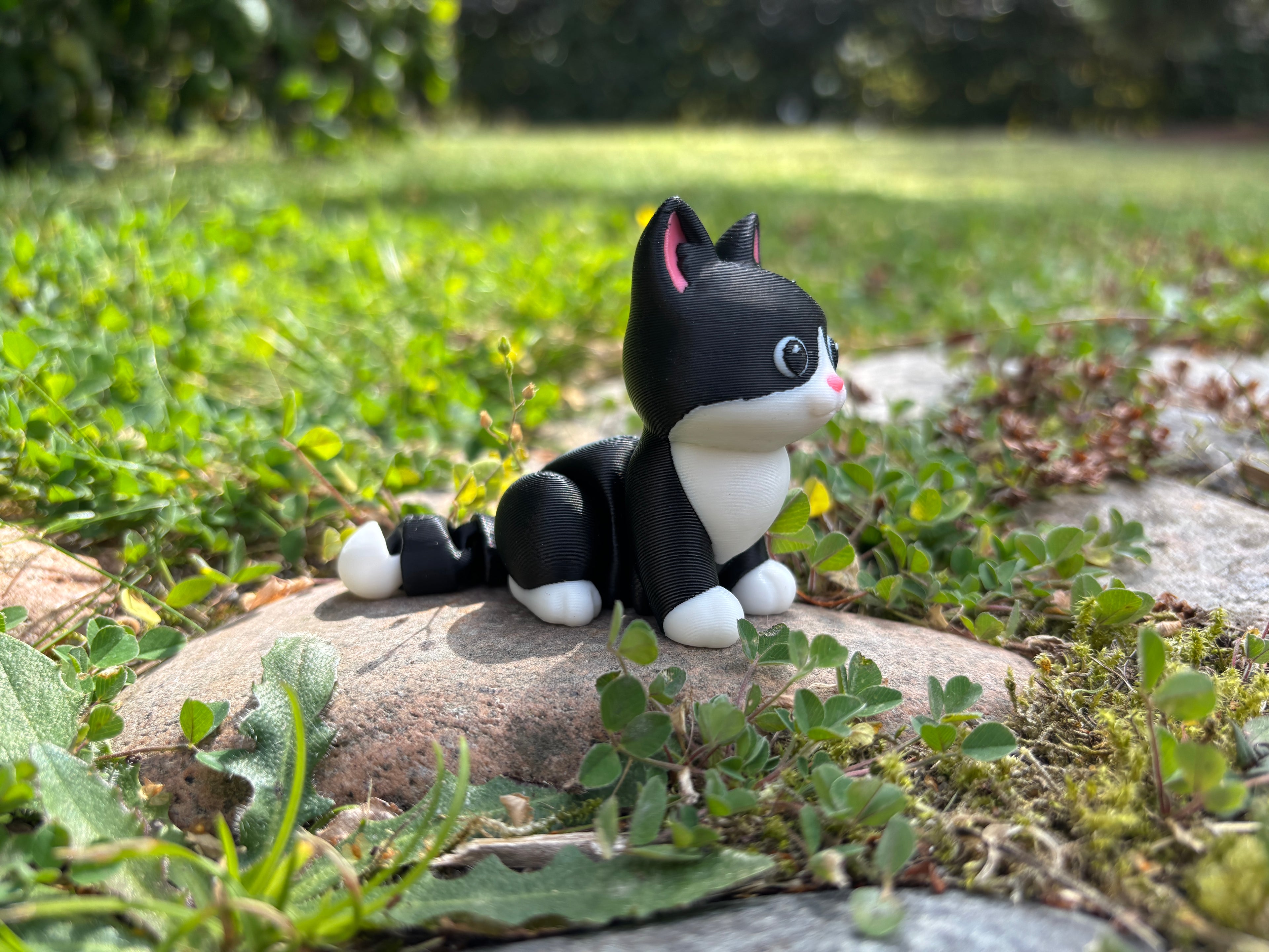 Mittens, the Midnight Library Cat of Whimsey’s Window