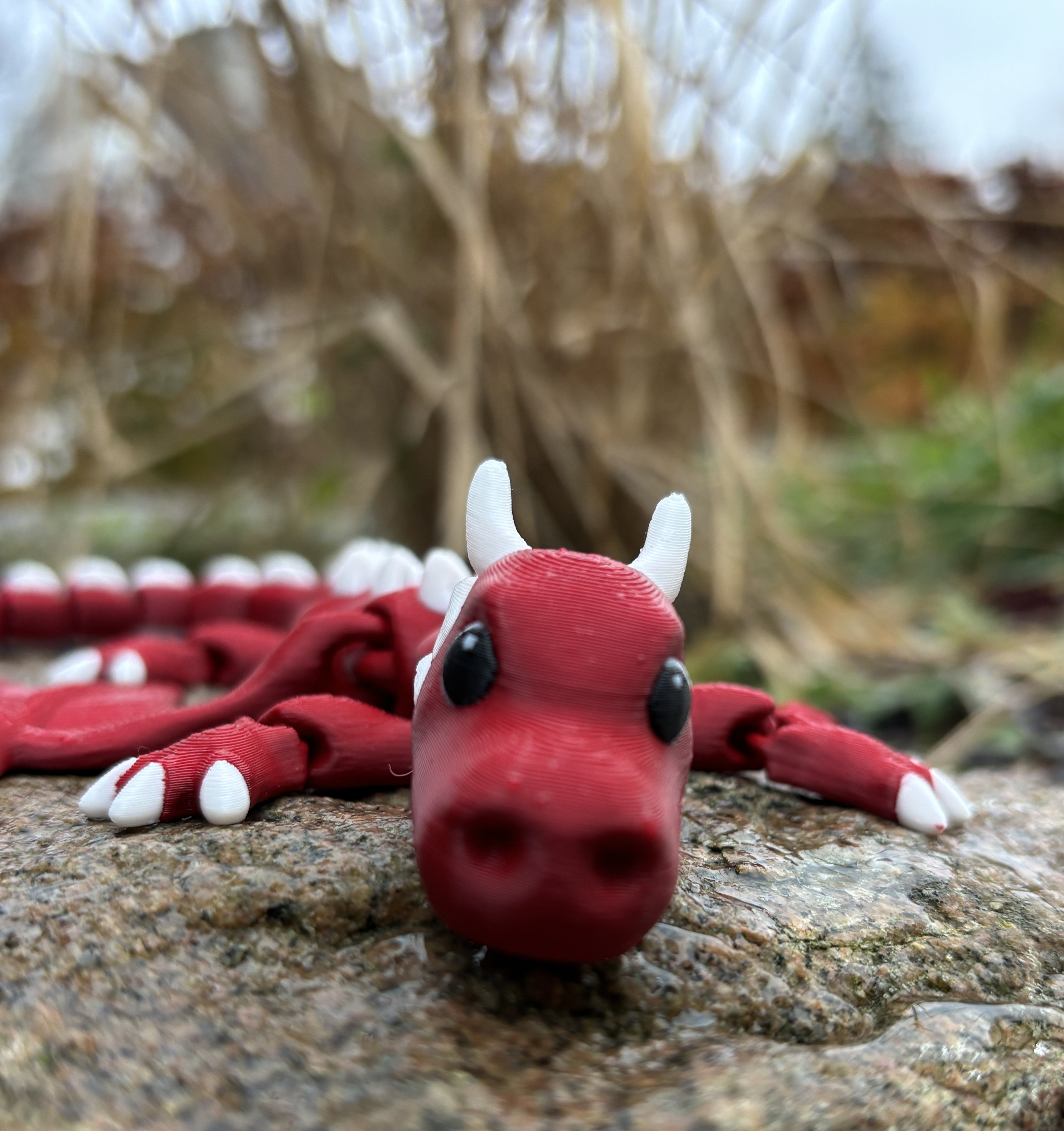 Elemental Dragons of Misty Tower - Glimmerwing, Firesprite, Dewdancer & Spriggleback