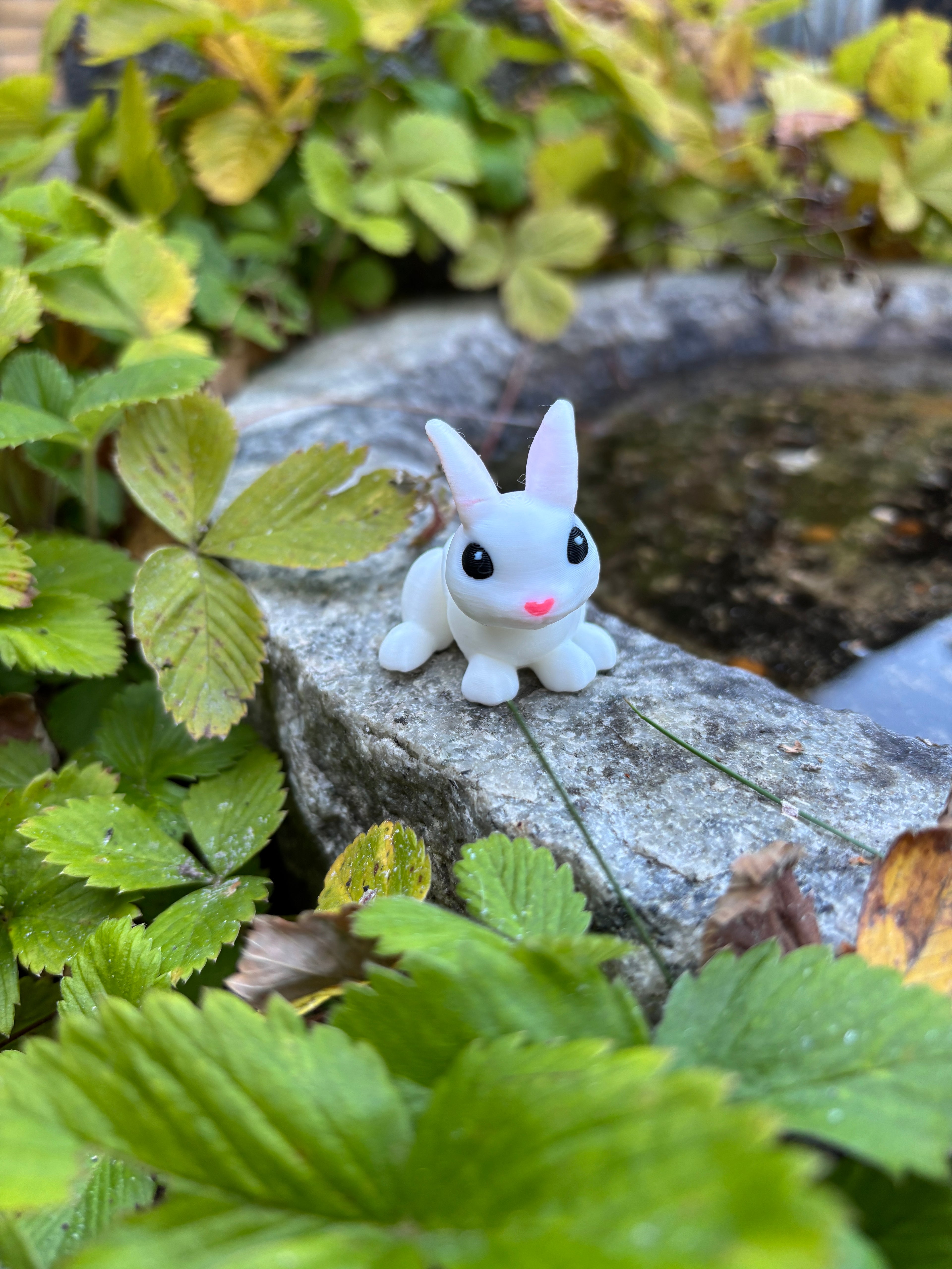 Thistle, the Moonbeam Bunny of the Magical Farm