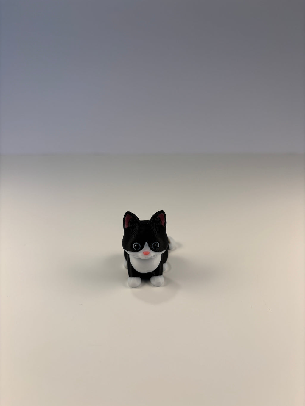 Mittens, the Midnight Library Cat of Whimsey’s Window