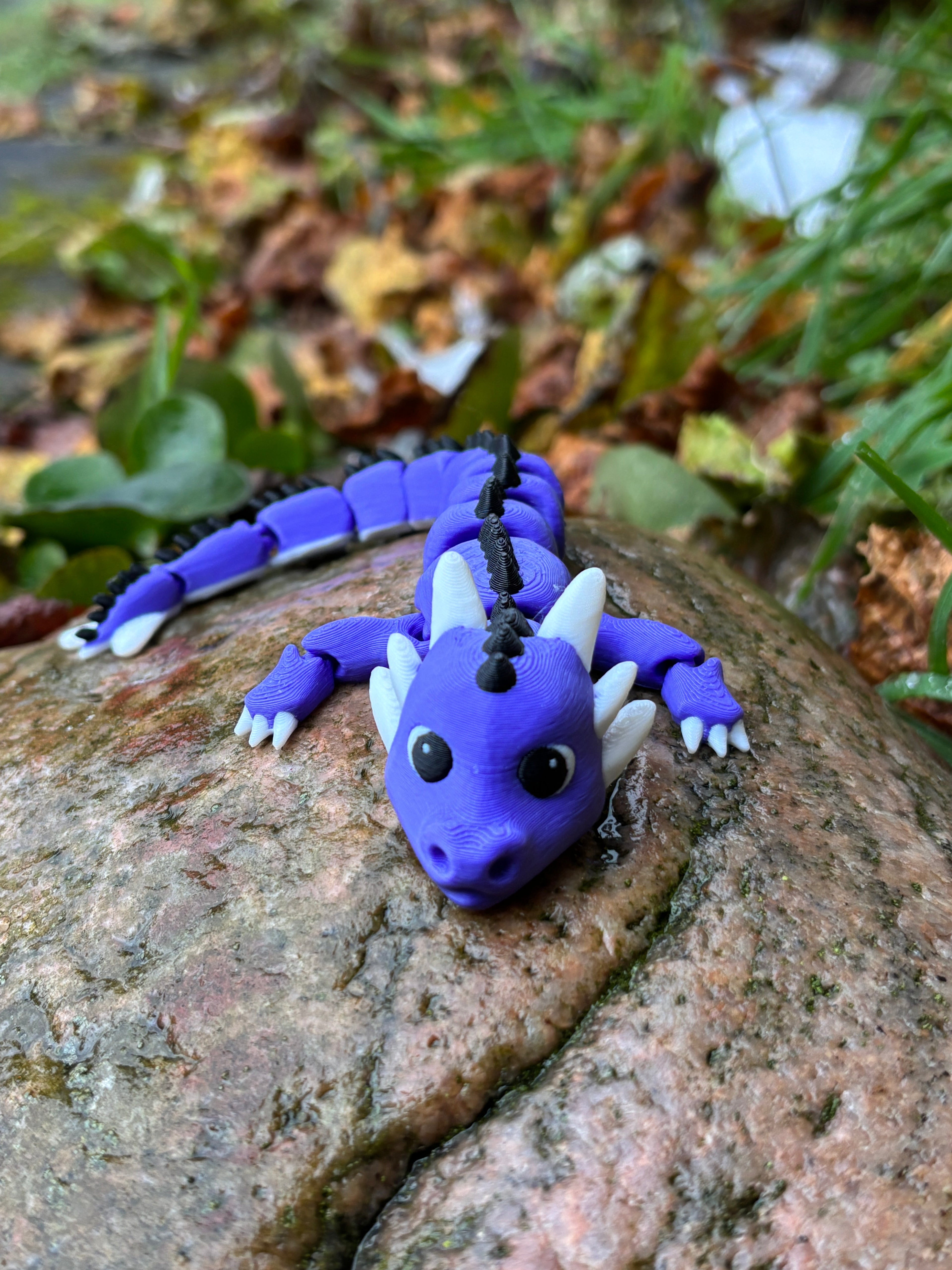 Welcome to Whimsey & Whiley’s Early Christmas Gift!