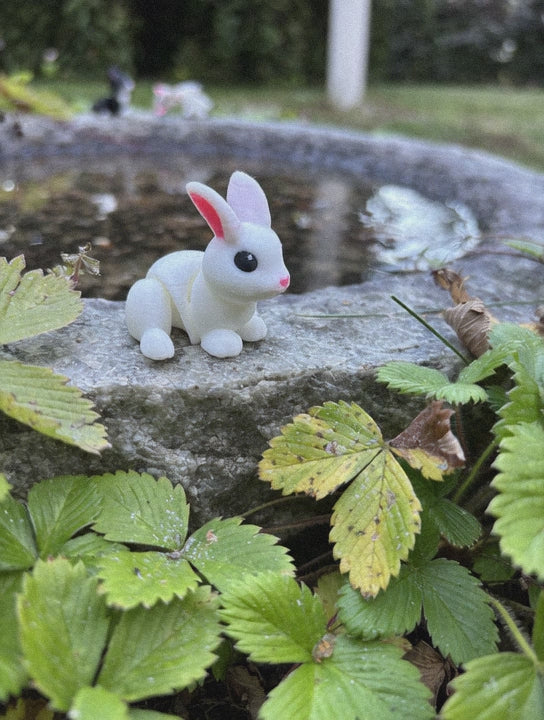 Thistle, the Moonbeam Bunny of the Magical Farm